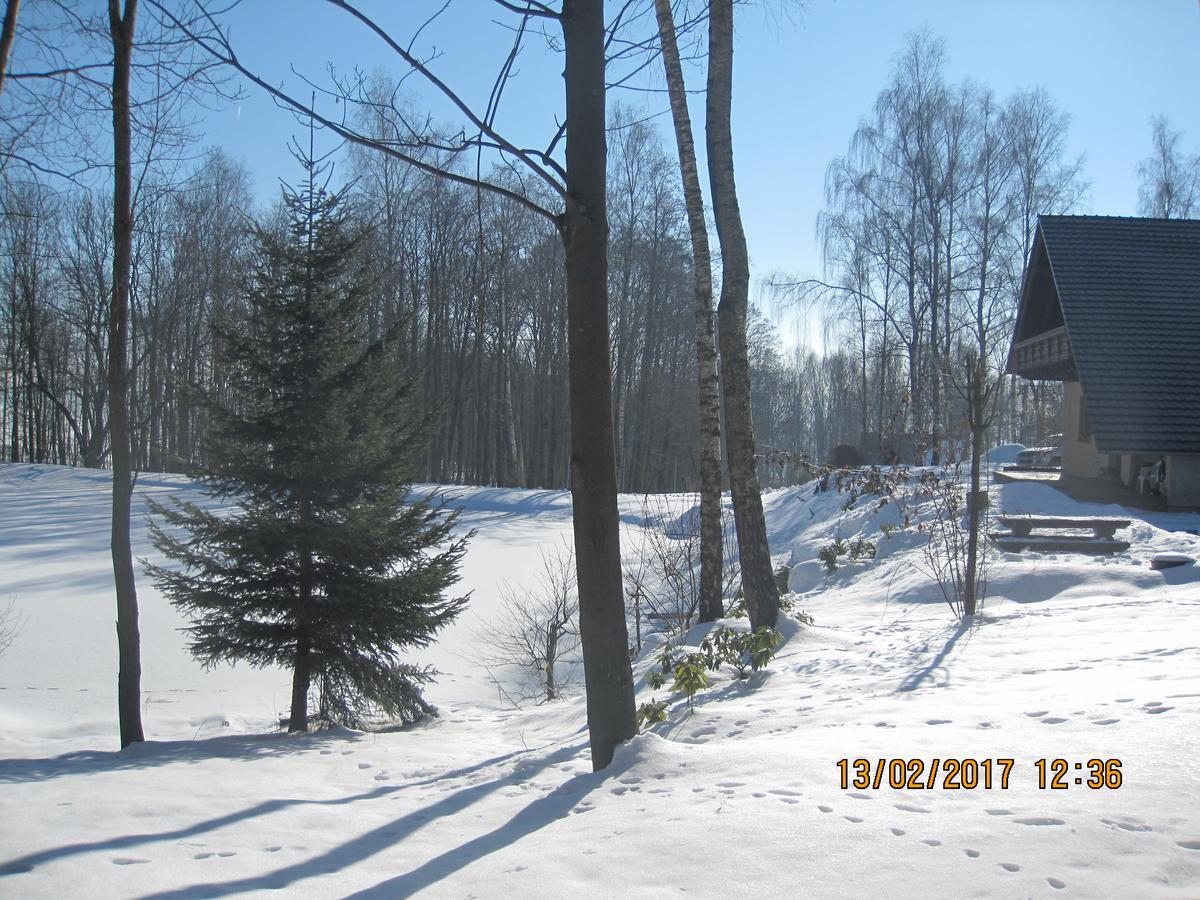 Chalupa Zlate Pisky Nove Krecany Exterior foto